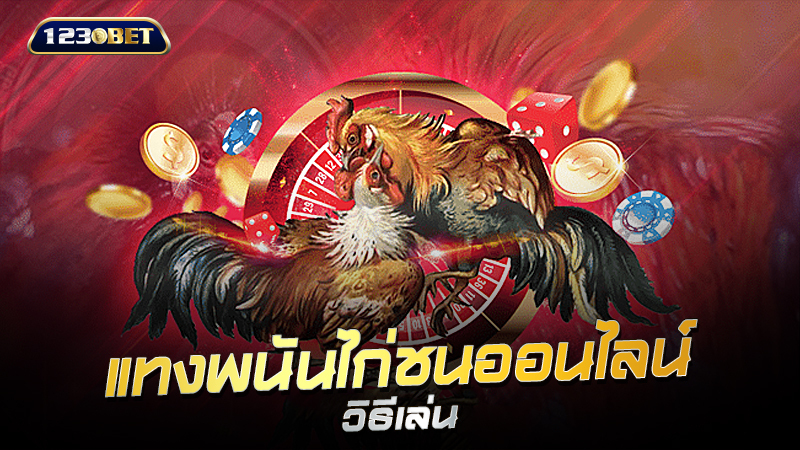 ไก่ชนออนไลน์ 123bet แทงพนันไก่ชนออนไลน์วิธีเล่น